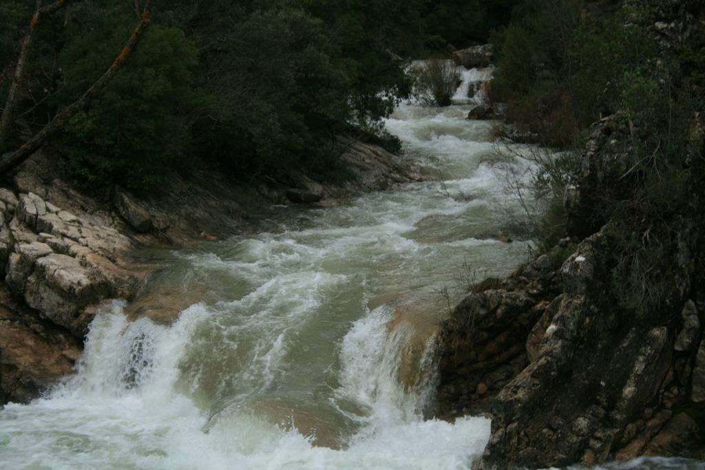 Mirasierra Coto Ríos